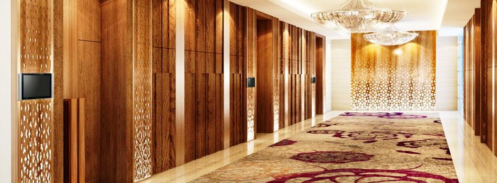 637/Holiday Inn Jaipur City Centre - Jaipur 03.jpg